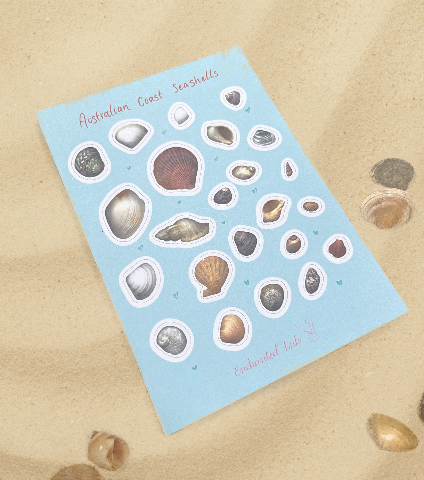 Australian Coast Seashells Sticker Sheet