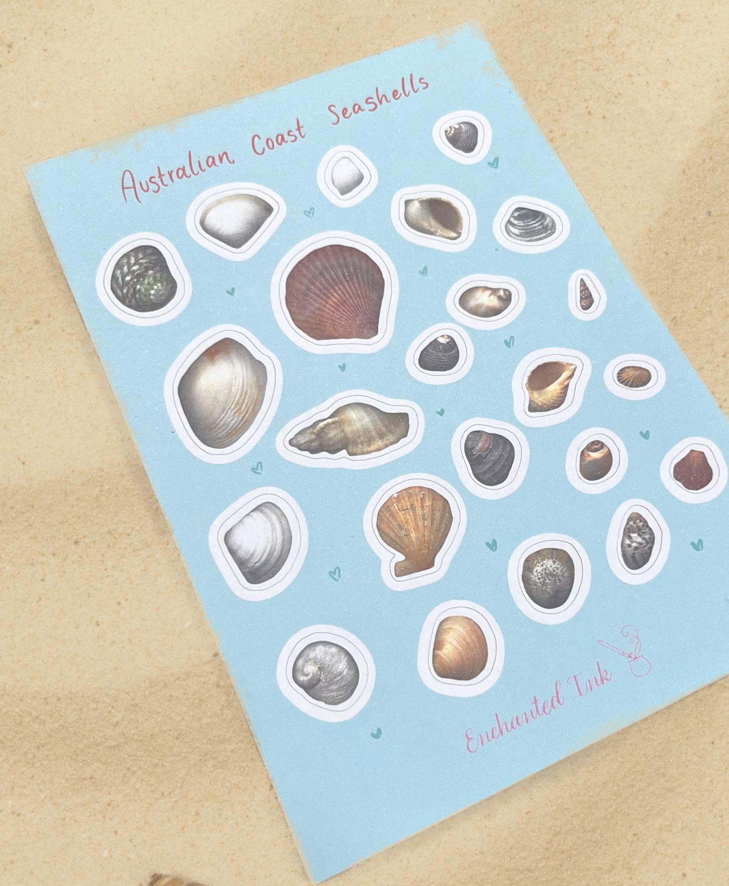 Australian Coast Seashells Sticker Sheet