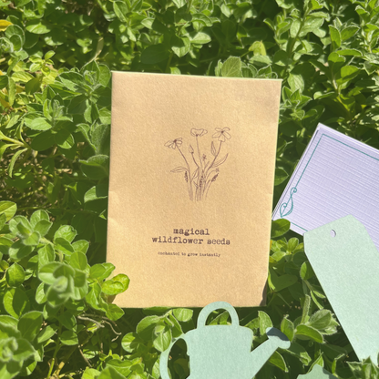 Ephemera Emporium | Enchanted Mail Club