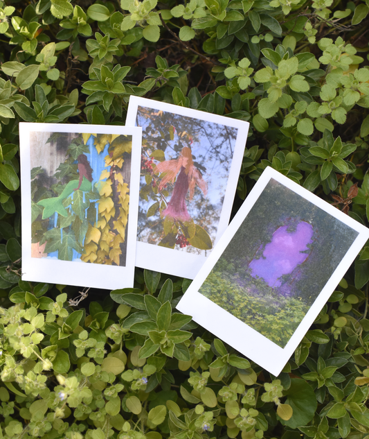 Hidden in Plain Sight Polaroid stickers featuring mermaid, fairy, and portal designs