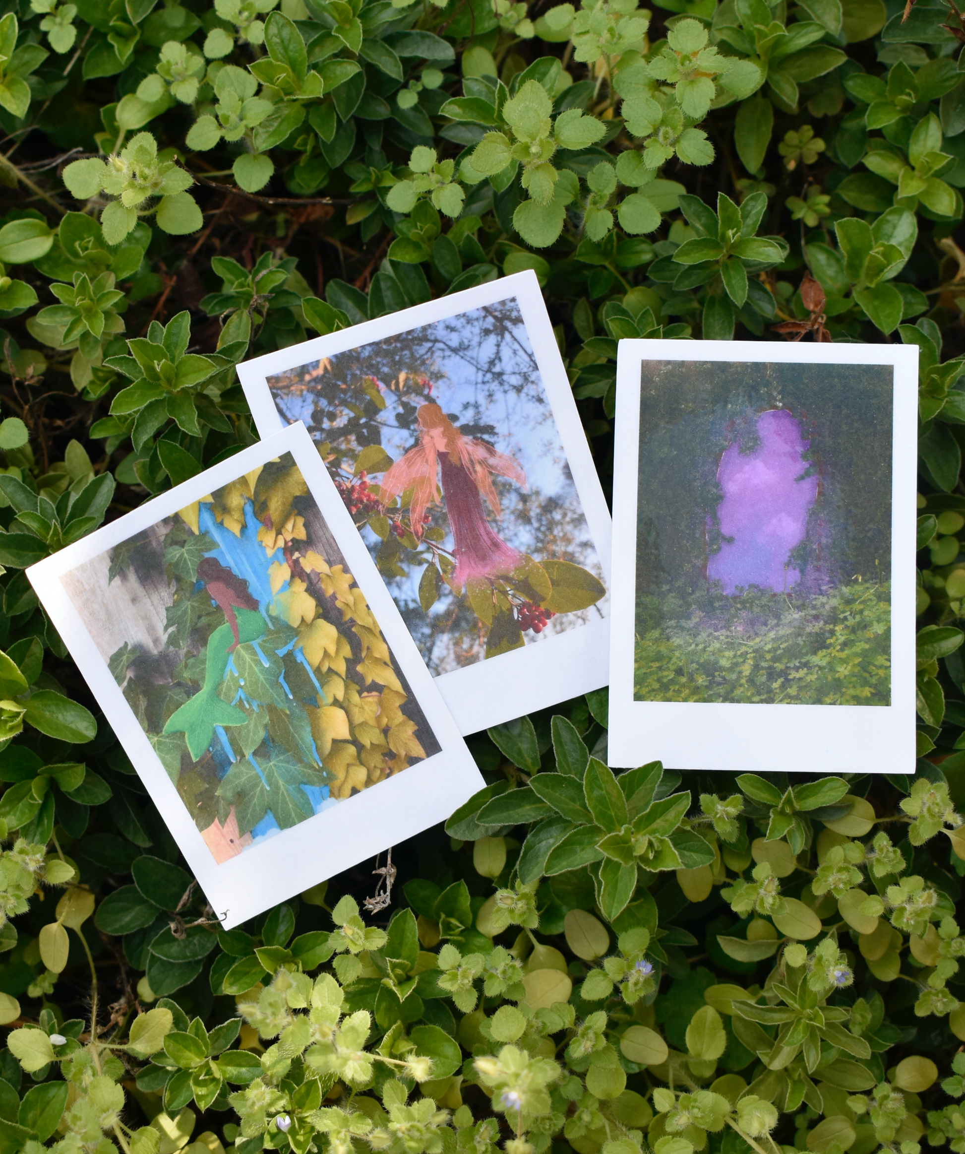 Three colourful Polaroid stickers on a grassy background