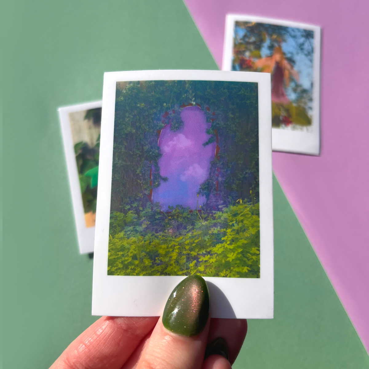 Hidden in Plain Sight Magical Polaroid Vinyl Stickers