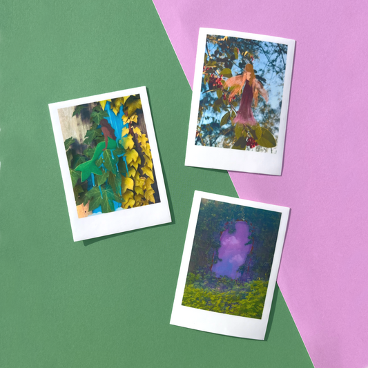 Hidden in Plain Sight Magical Polaroid Vinyl Stickers