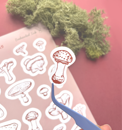 Sketchbook Mushrooms Vinyl Sticker Sheet | Vintage Mushroom Aesthetic Stickers