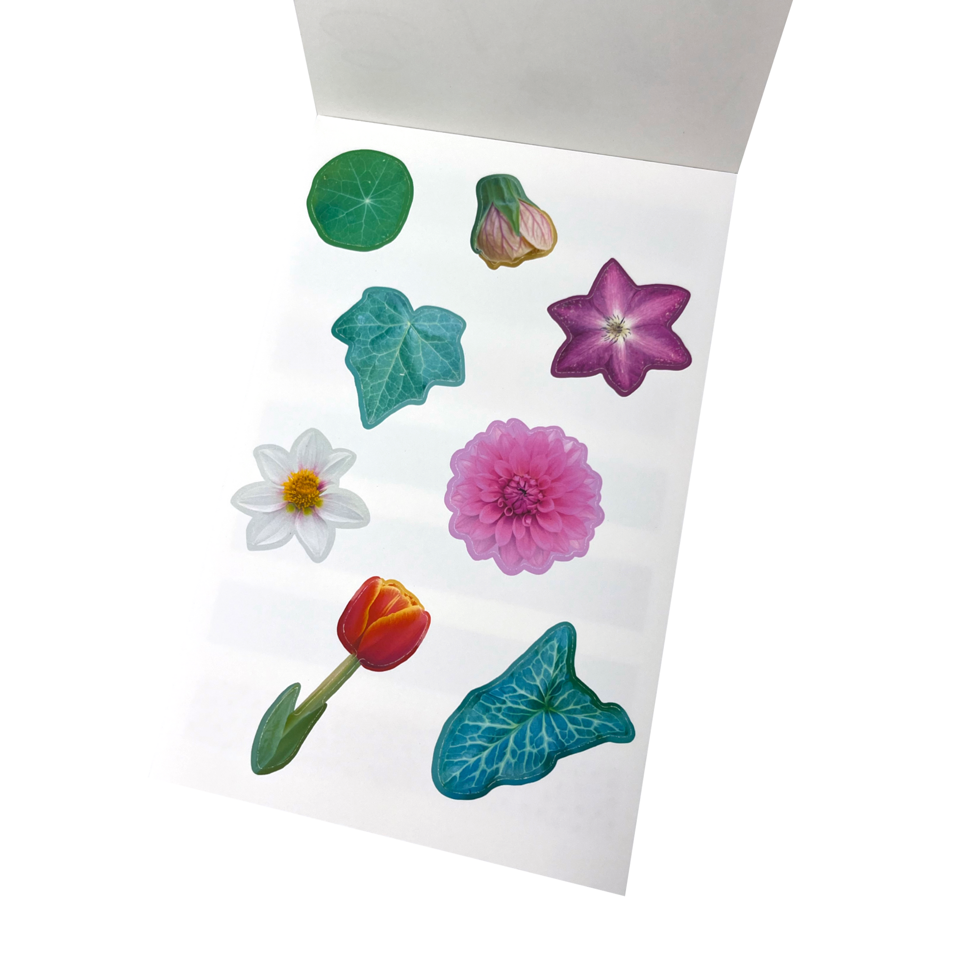 A matte white sticker sheet featuring colourful botanical stickers, including green leaves, a purple flower, a white daisy, a pink flower, a red tulip, and a pink bud.