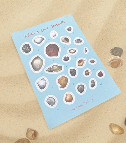 Australian Coast Seashells Sticker Sheet