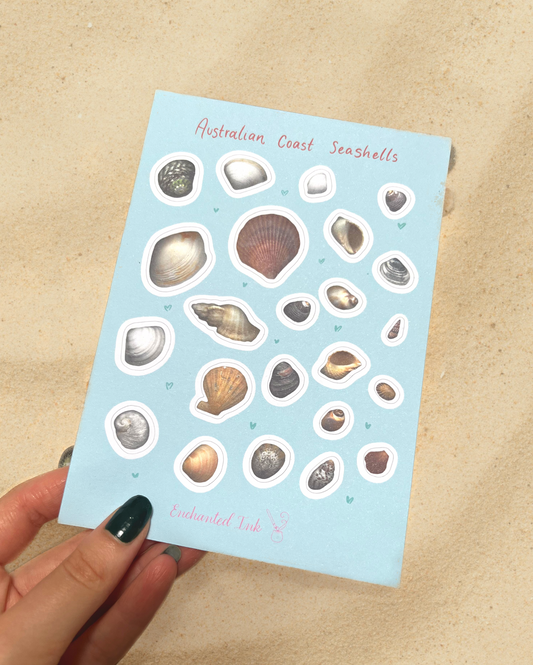 Australian Coast Seashells Sticker Sheet