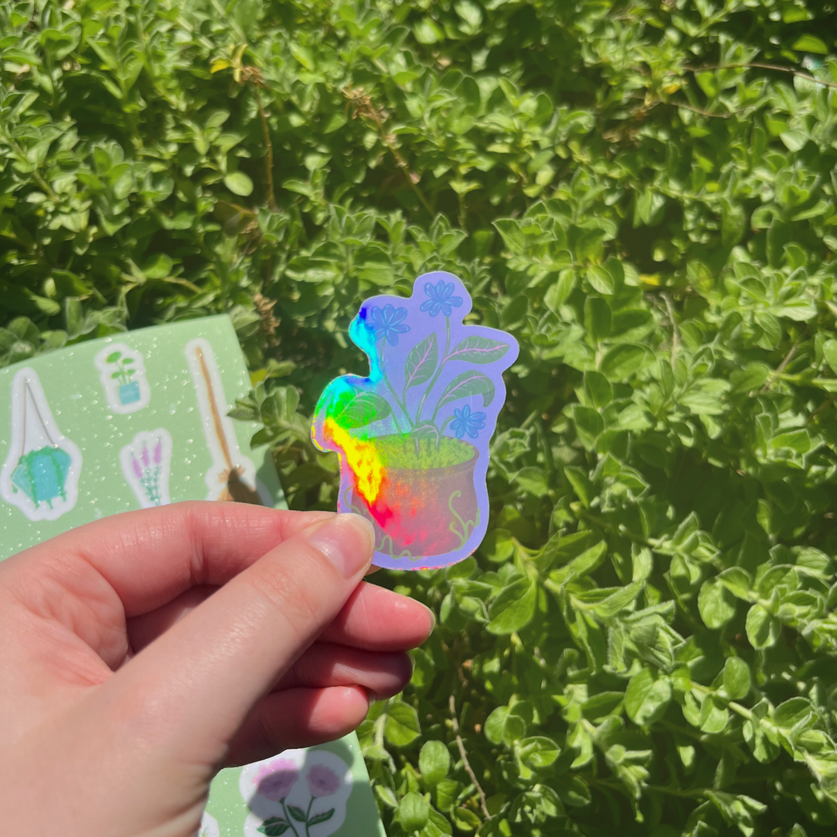 Sticker Sanctuary | Enchanted Mail Club