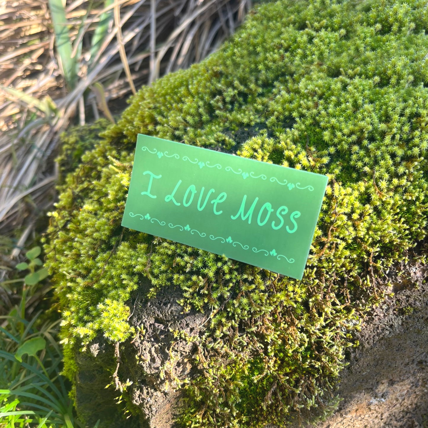 I Love Moss Vinyl Sticker | Whimsical Cottagecore Sticker